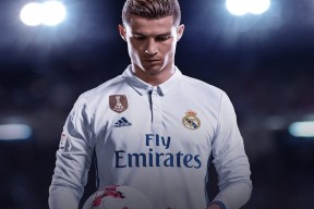 新手入门指南：mk sports（推荐）